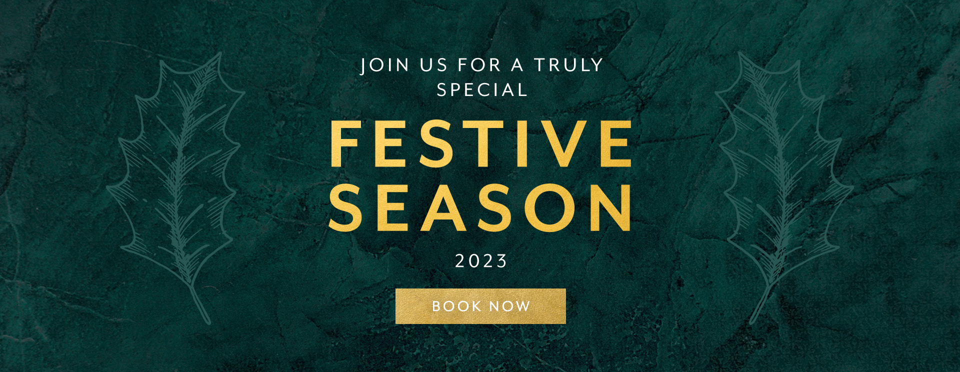 Christmas 2023 at Handcross