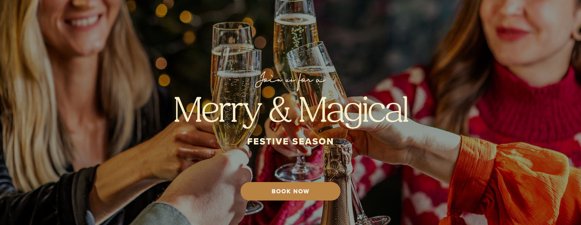 Christmas 2025 at Handcross